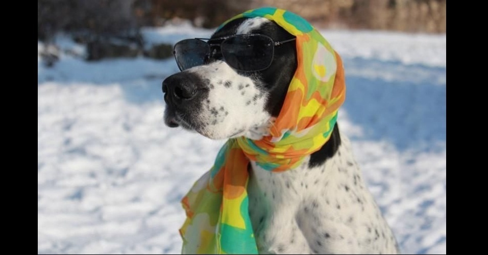 Fotos Em brincadeira da web, internautas usam trajes de banho no inverno; veja fotos 17/12