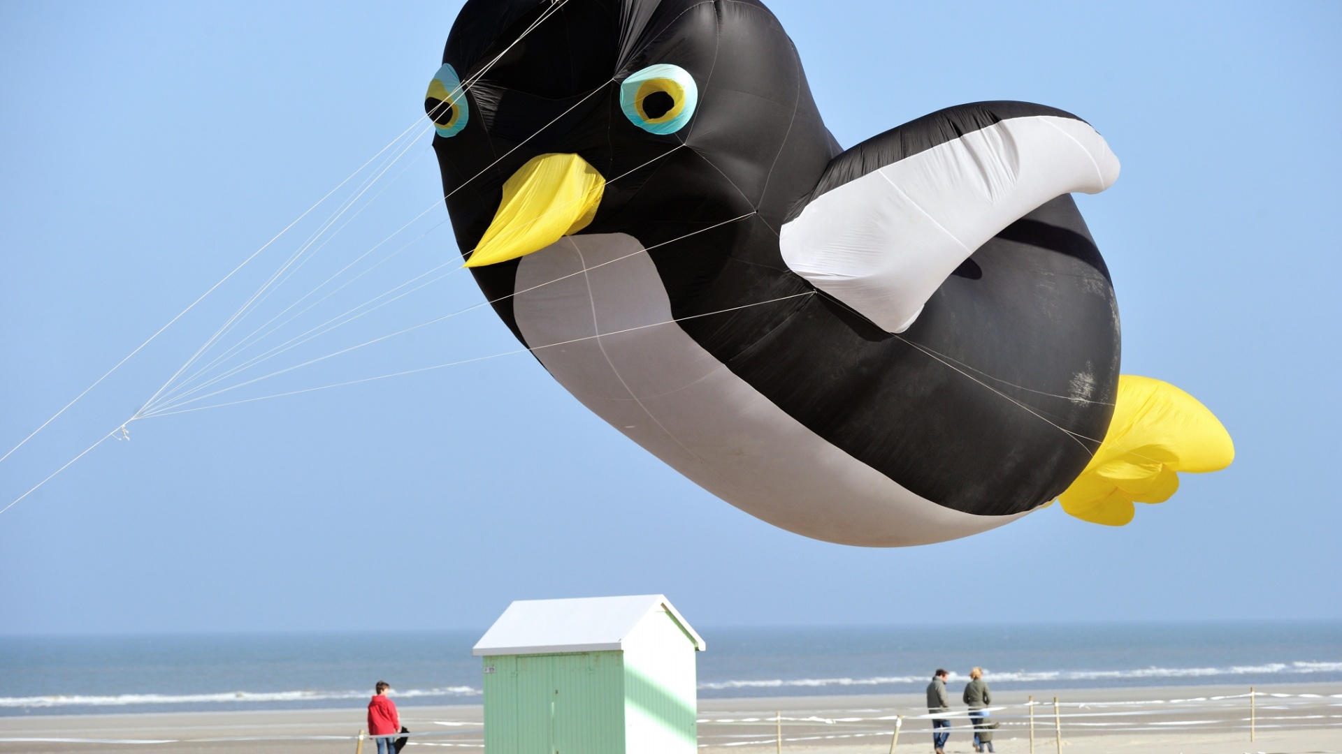 Fotos: Campeonato de pipas em praia da França - 13/04/2013 - UOL Notícias
