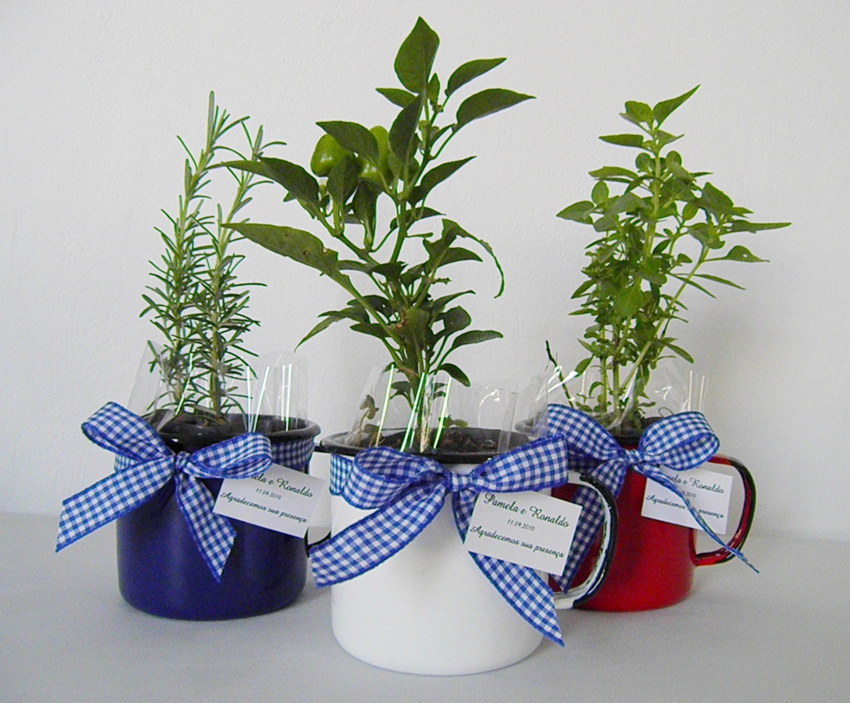 Fotos: Veja opções de lembrancinhas em vasos ou tubos com plantas e ...