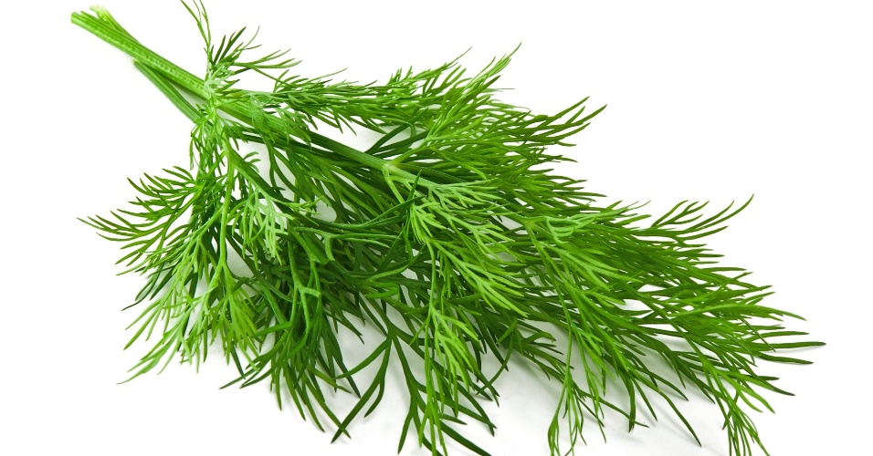 Temperos devem ser usados com cuidado; veja dicas para usar sem errar