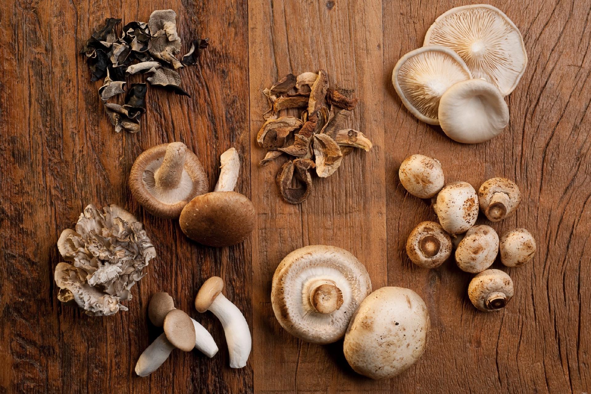 Cogumelos paris, shitake e shimeji são versáteis na cozinha e