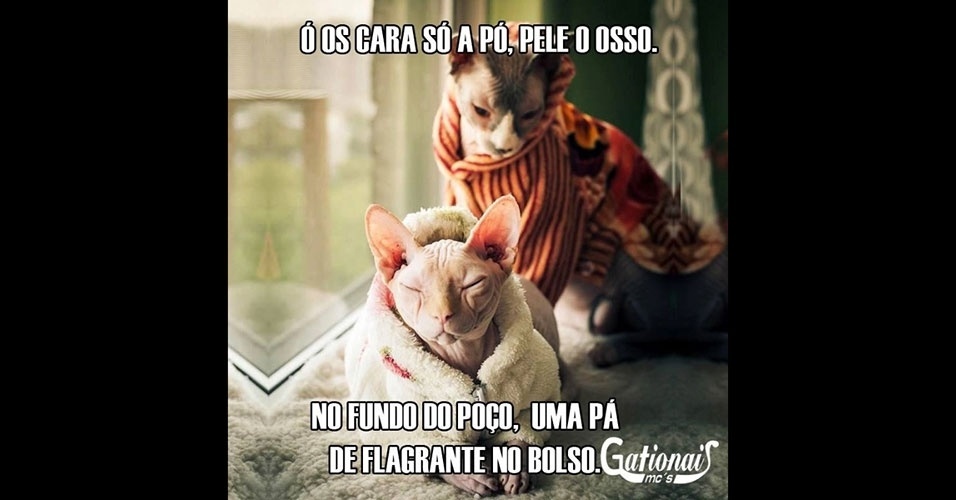 Frases e fotos racionais Frases e fotos racionais