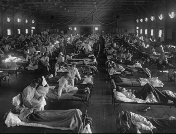 gina kolata influenza gina kolata influenza
