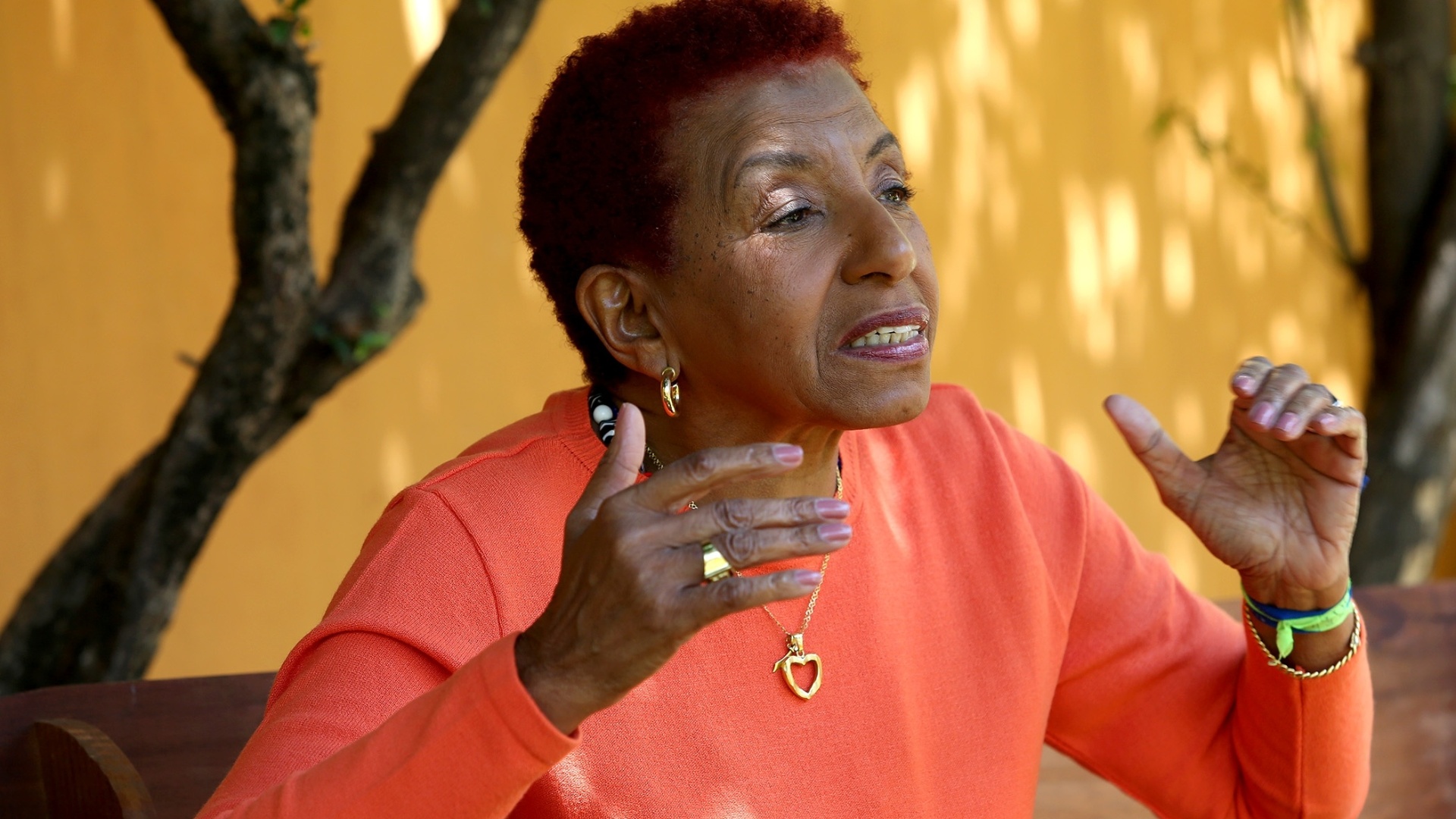 Leci Brandão relembra fatos marcantes da carreira precursora no samba