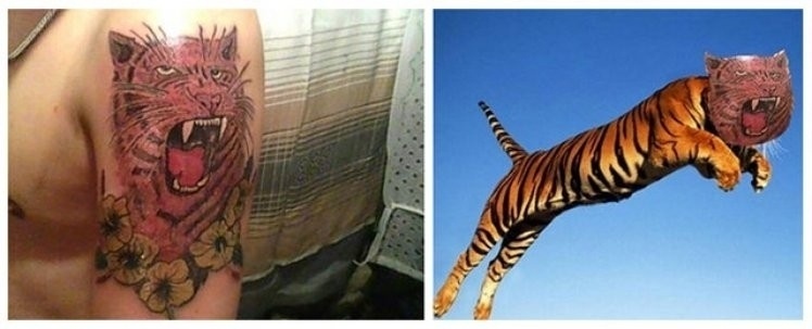 Tatuagens mal feitas de animais viram meme divertido na