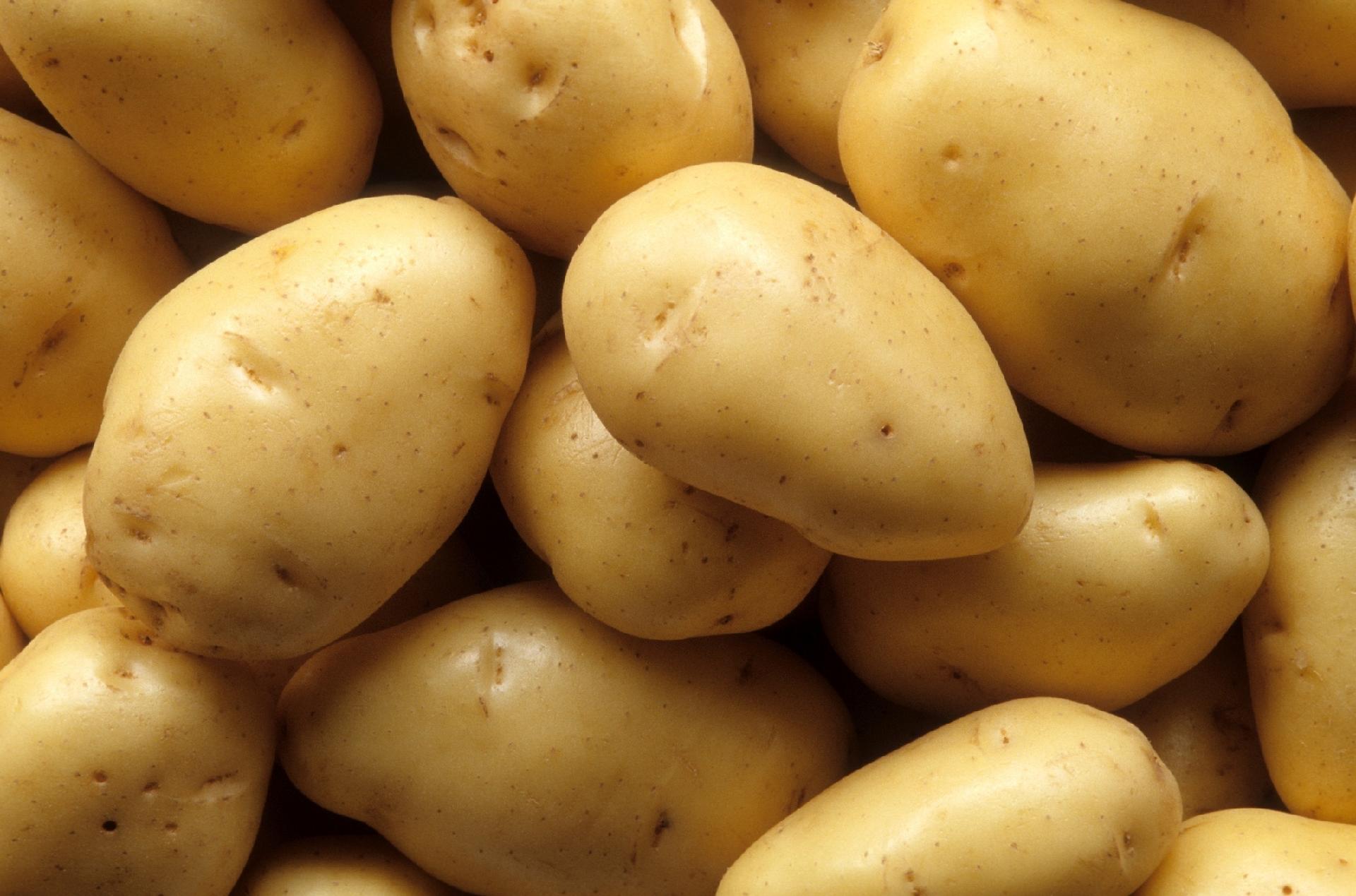 Potato Batata – Apps no Google Play
