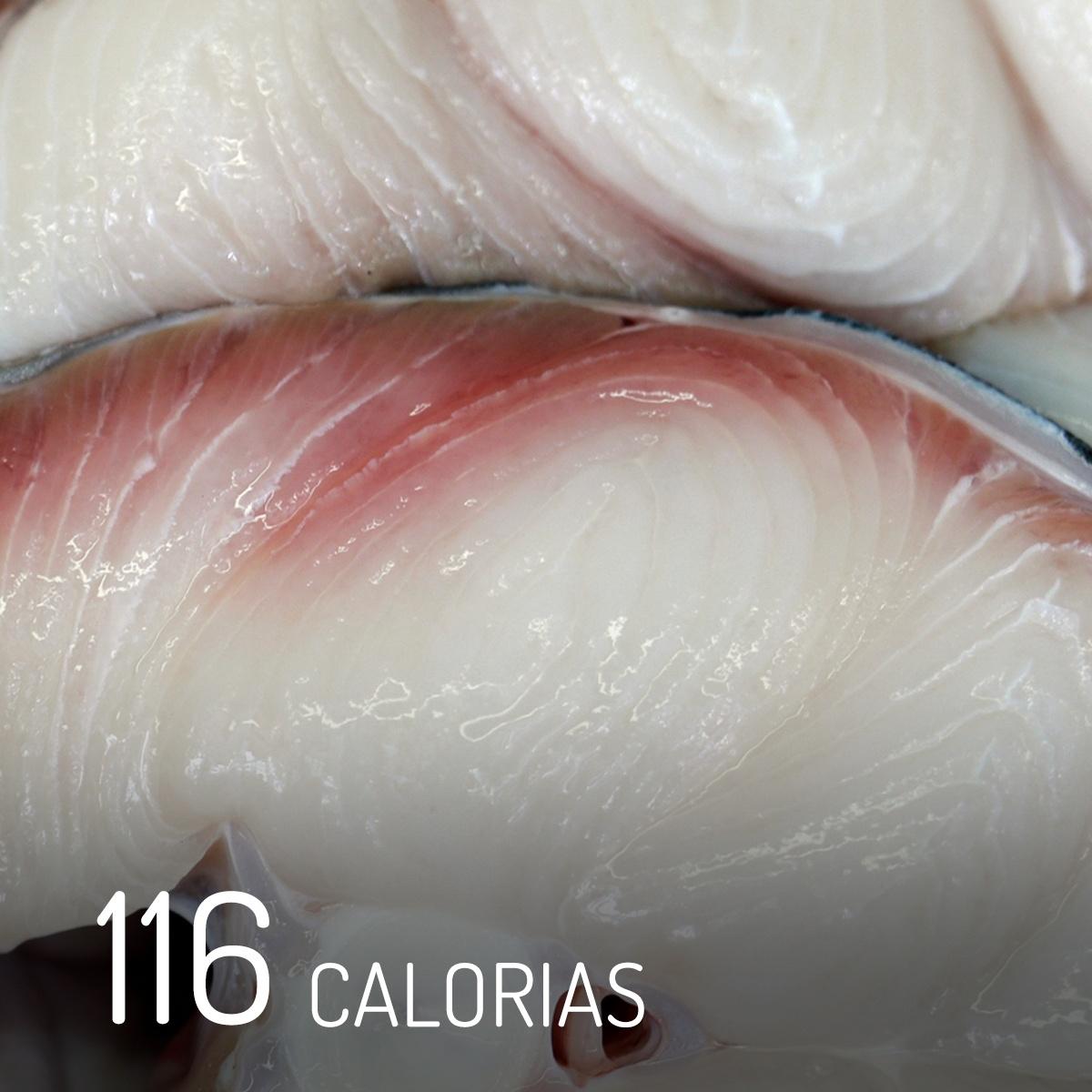 Fotos Confira As Calorias E Nutrientes Dos 9 Peixes Mais Consumidos No