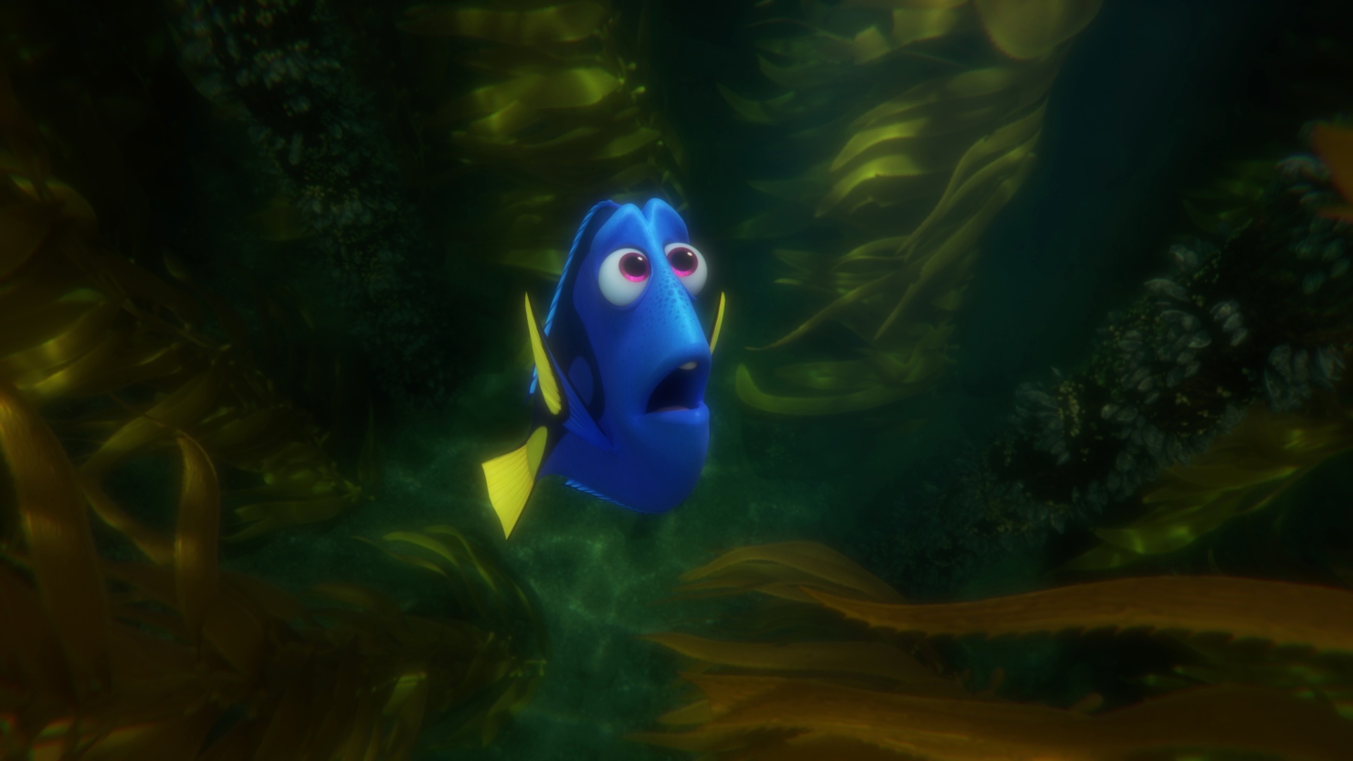 Animação Procurando Dory ganha seu primeiro trailer assista 10 11