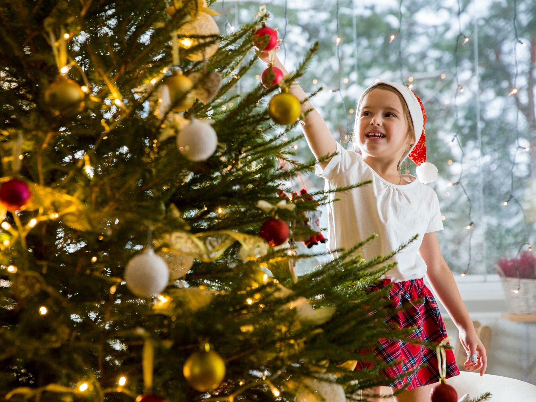 É CERTO CELEBRAR O NATAL?