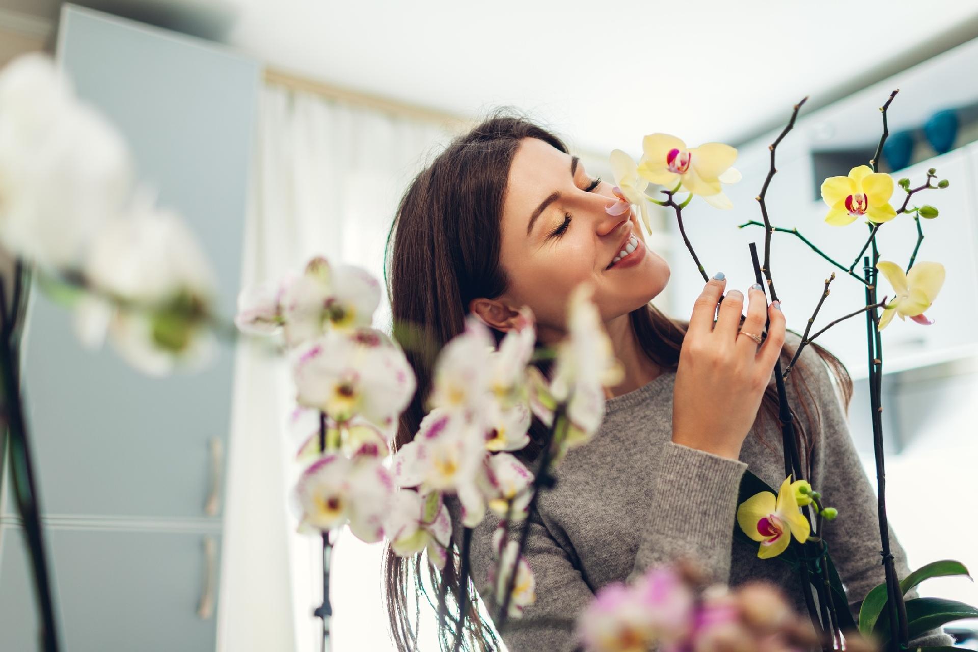 Feng Shui: especialista explica como energizar a casa com a