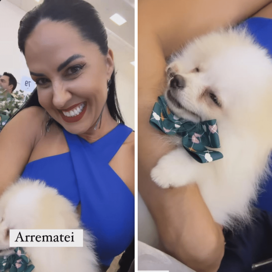 Graciele Lacerda paga R$ 63 mil por cachorro em leilão