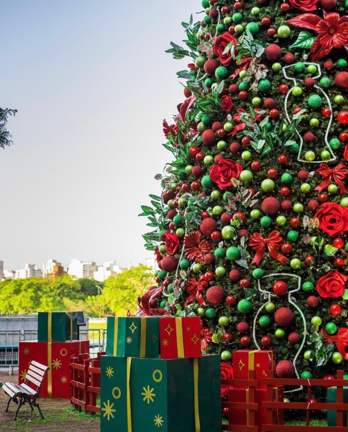 Árvore de Natal do Ibirapuera em 2022 será maior de São Paulo com 53 m