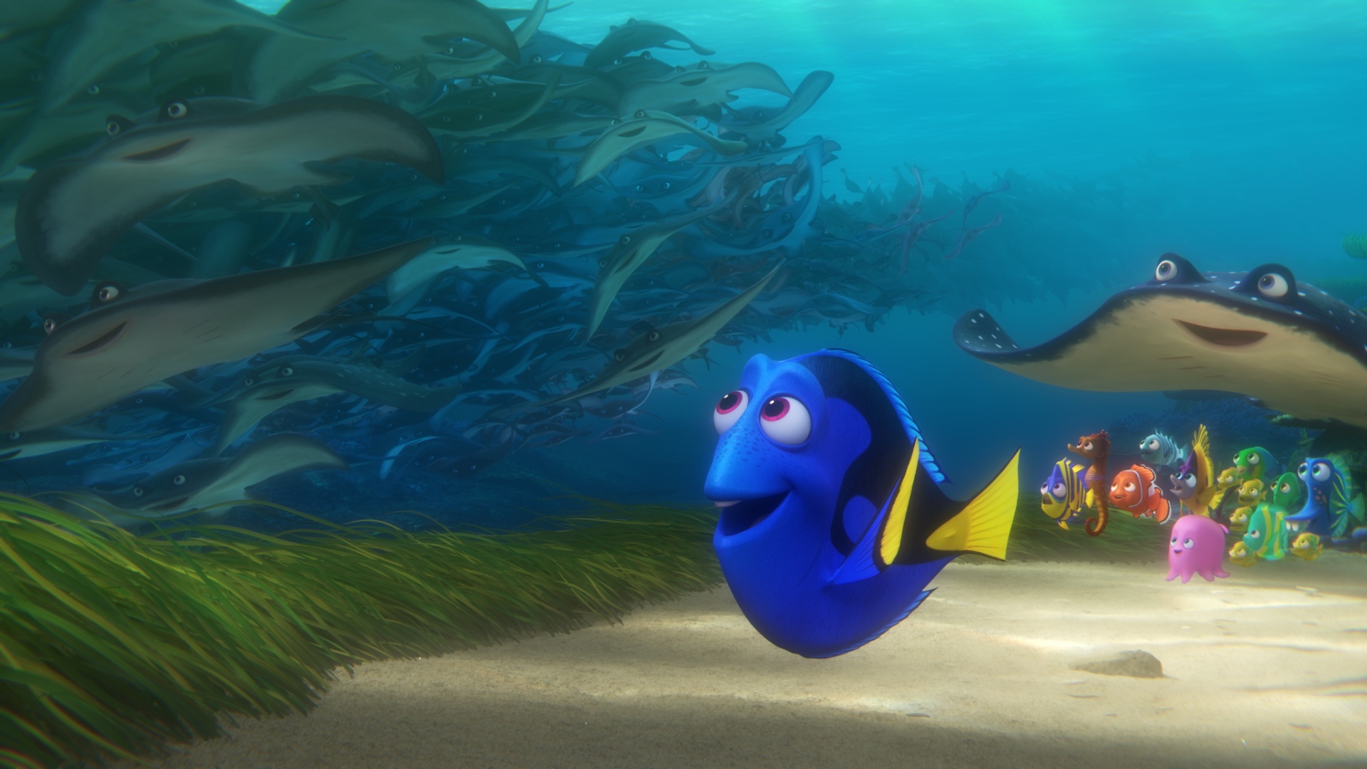 Dory Busca Sua Família Em Trailer De Procurando Dory Veja 0203