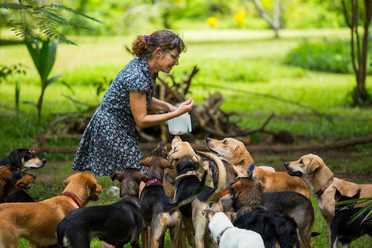 Conhece um acumulador de bichos? Ter pets demais é sinal de transtorno -  10/12/2022 - UOL VivaBem