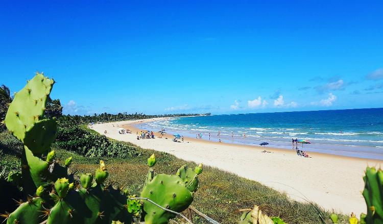 Conheça as 29 praias brasileiras que receberam prêmio bandeira azul