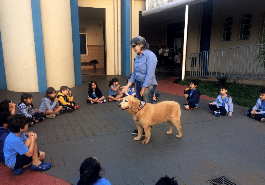Veja 25 curiosidades sobre os cachorros, Parada Pet Ribeirão