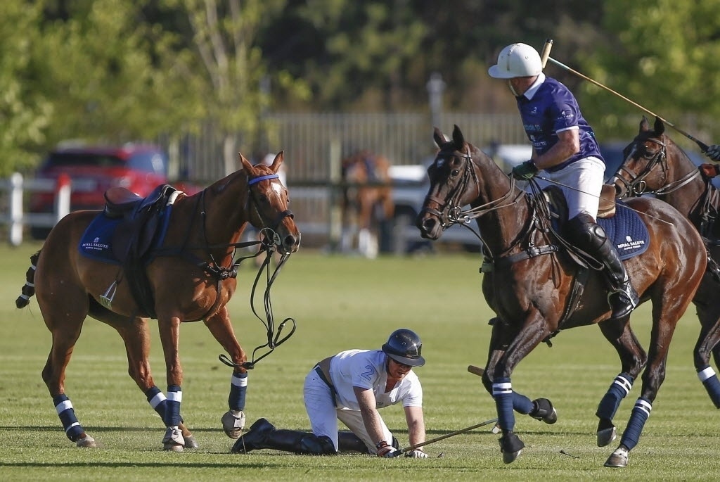 Fotos Pr Ncipe Harry Cai De Cavalo Durante Partida De Polo Na Frica