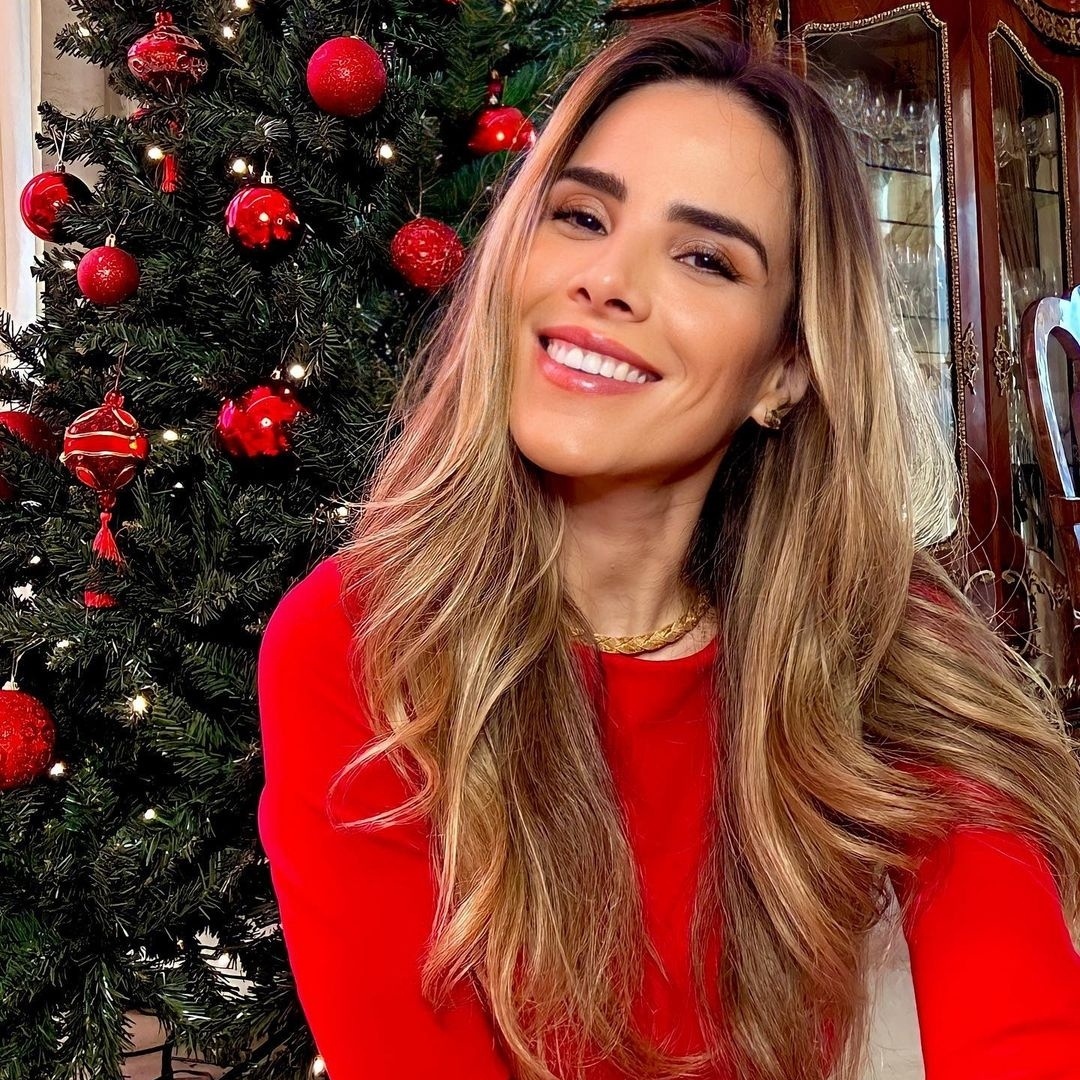 Wanessa Camargo: Quem é Nova Participante do BBB 24 e Fotos