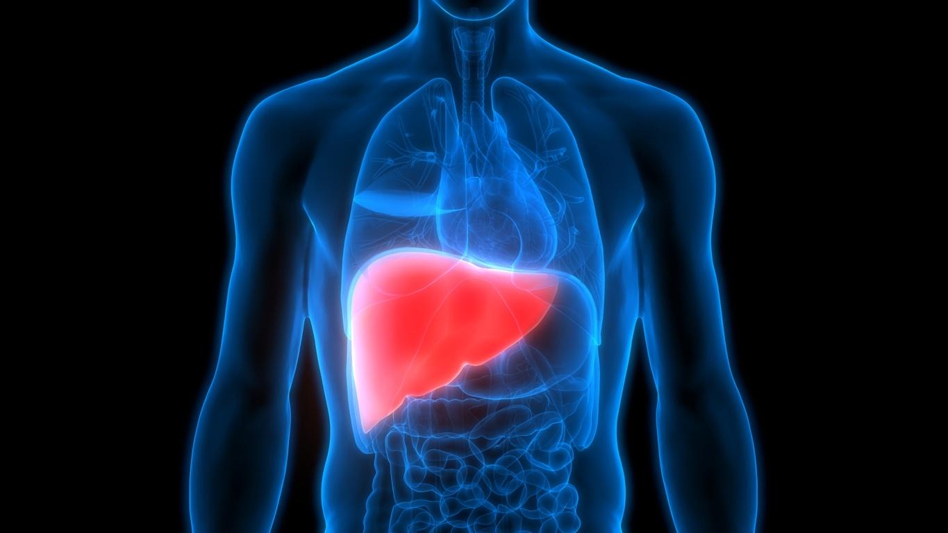 Hepatite pode evoluir para um câncer e é silenciosa; como evitar doença - 16/07/2019 foto