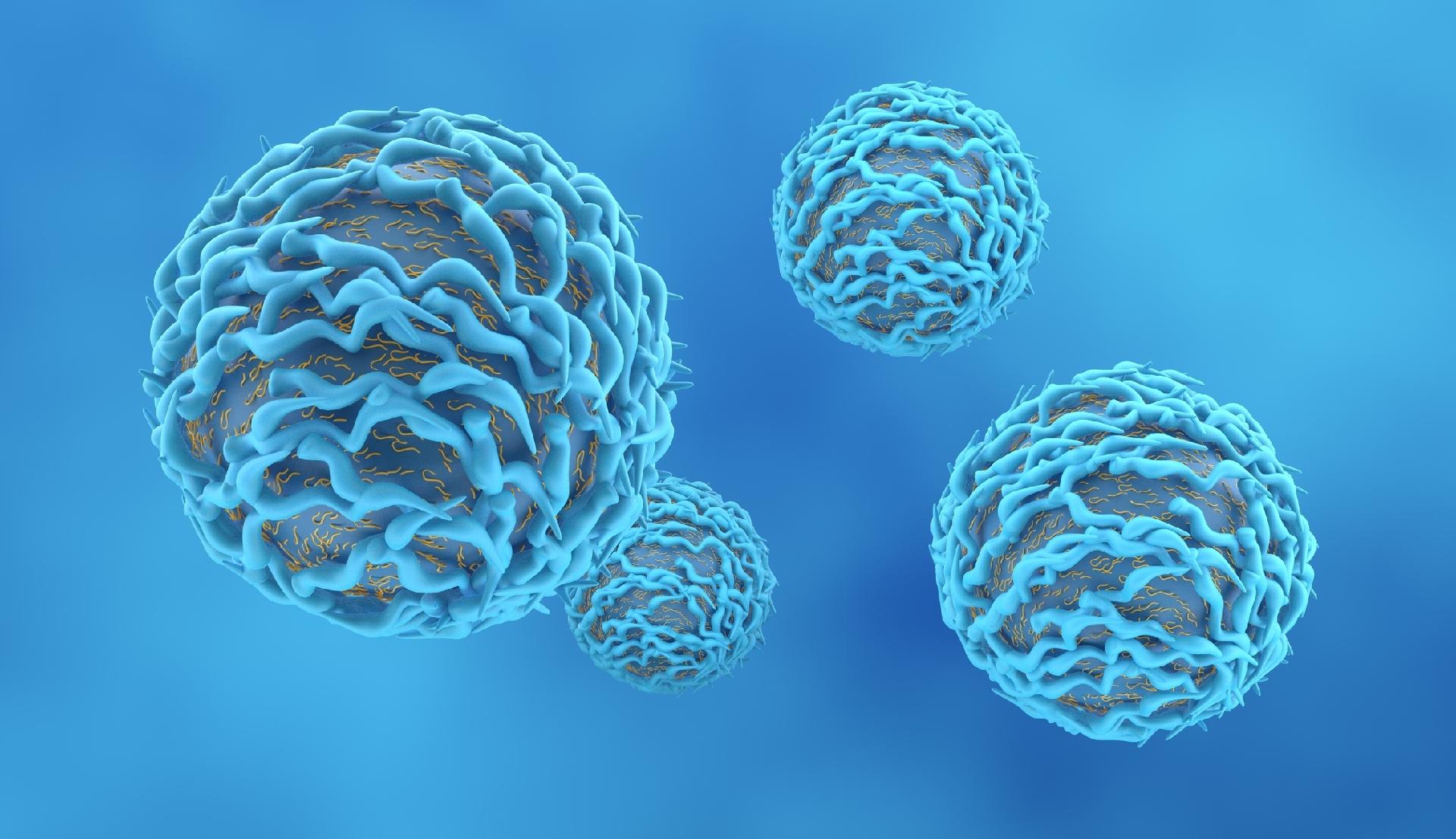 Imunidade celular é essencial para evitar reinfecção pelo novo