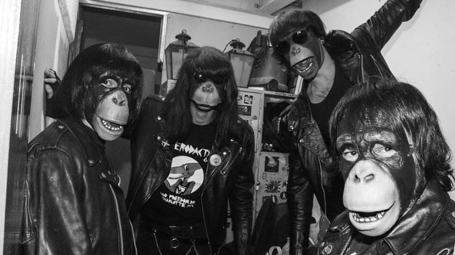 Quatro macacos tocam os sucessos do Ramones (e você vai querer ver