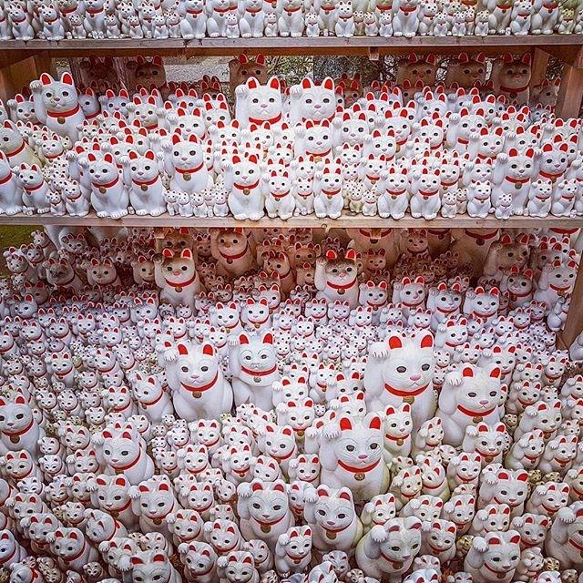 Mais de 10 mil 'gatos da sorte' decoram templo no Japão