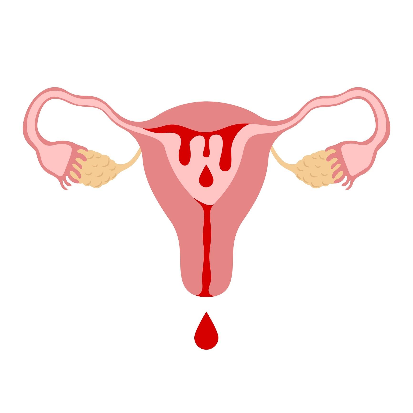 Menstruada e grávida