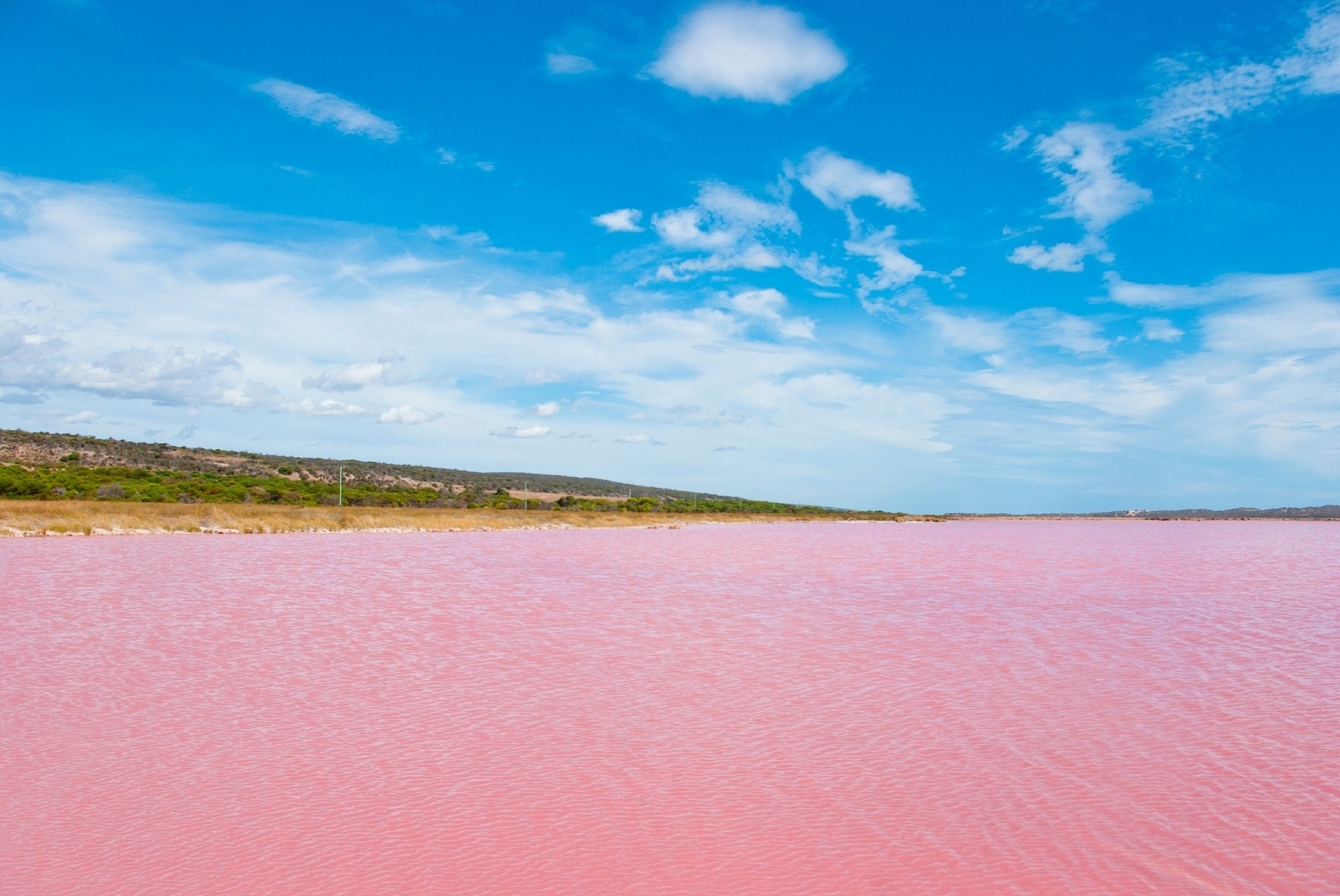 Fotos Ilha Exótica Da Austrália Abriga Um Lago Cor De Rosa Conheça A