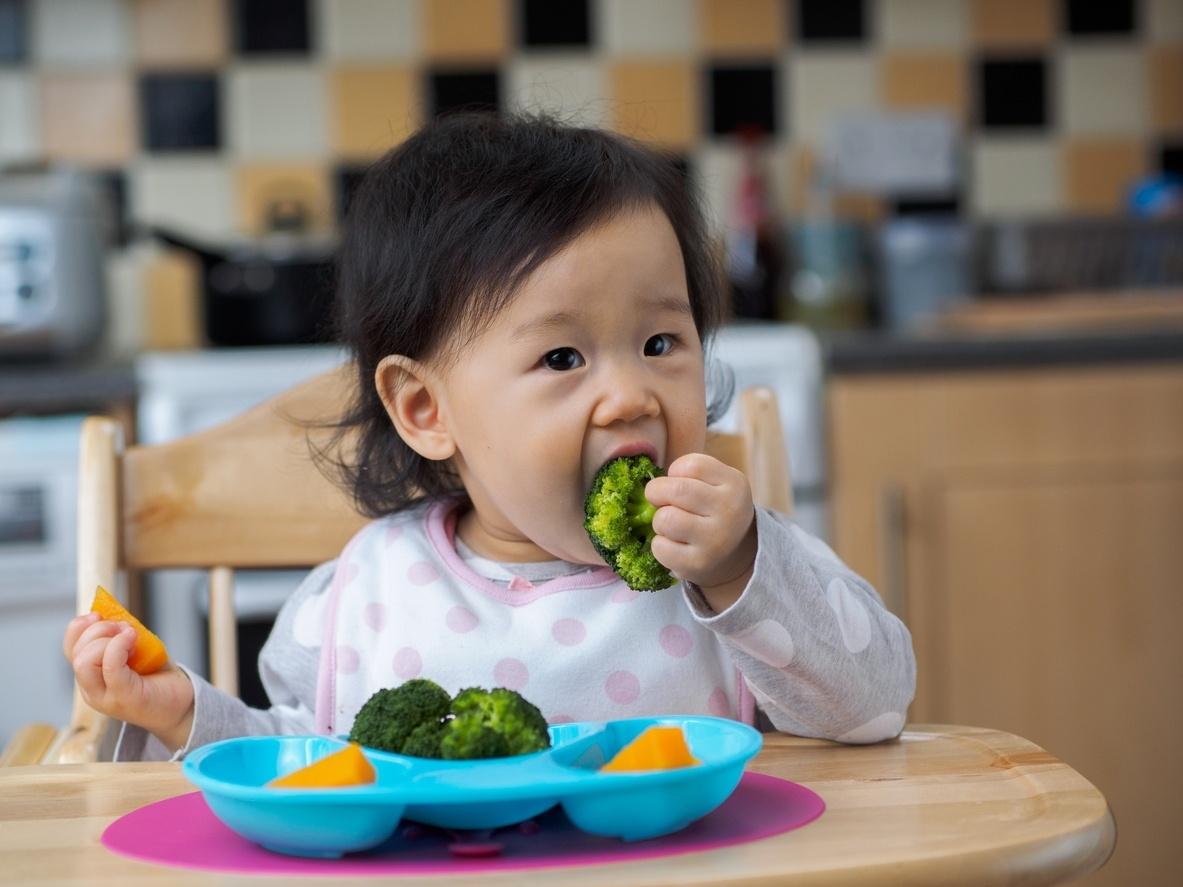 A alimentação vegetariana é saudável para o meu filho? - Mãe-Me-Quer