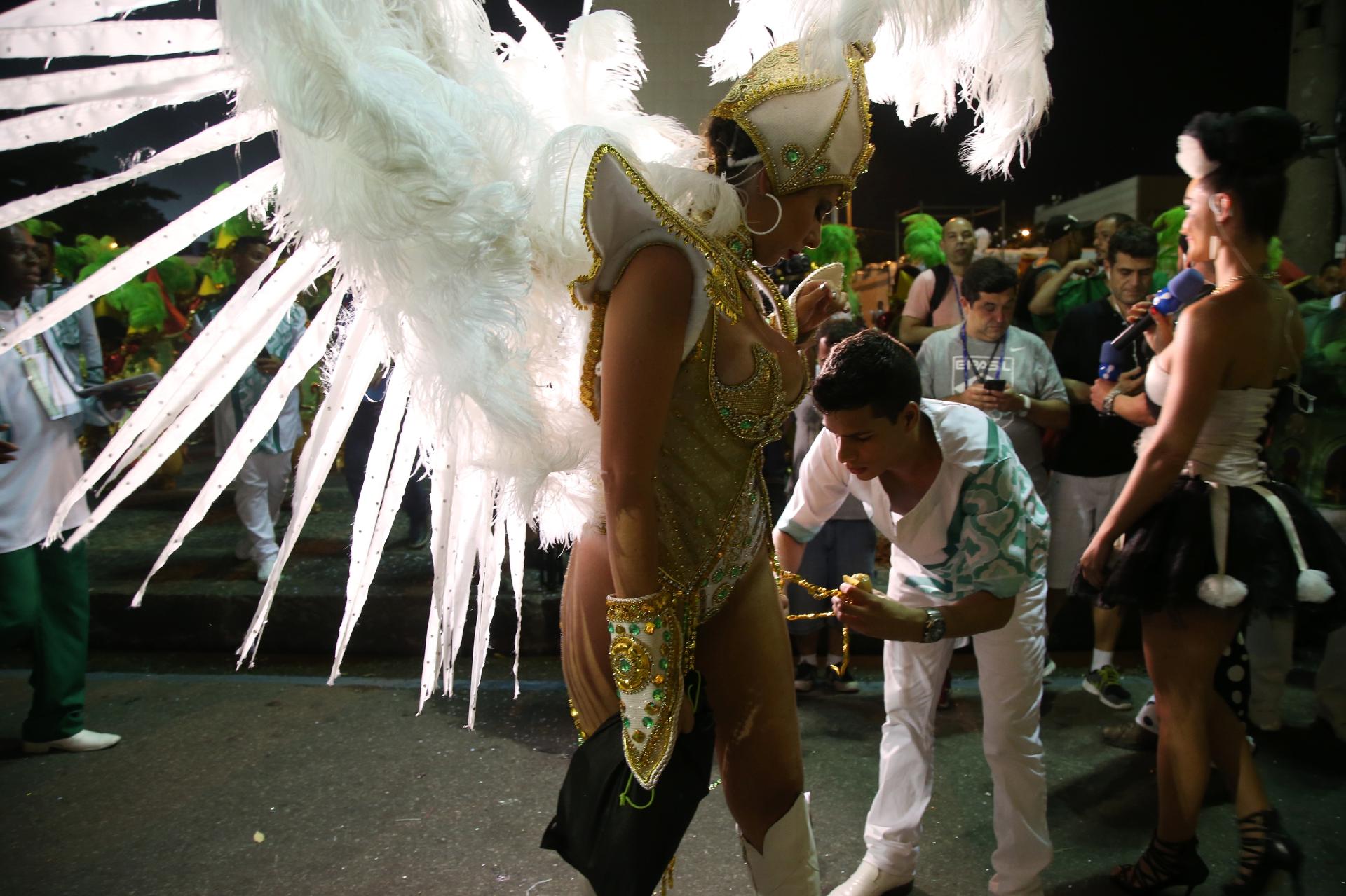 Fotos Carnaval Mocidade Independente De Padre Miguel Carnauol