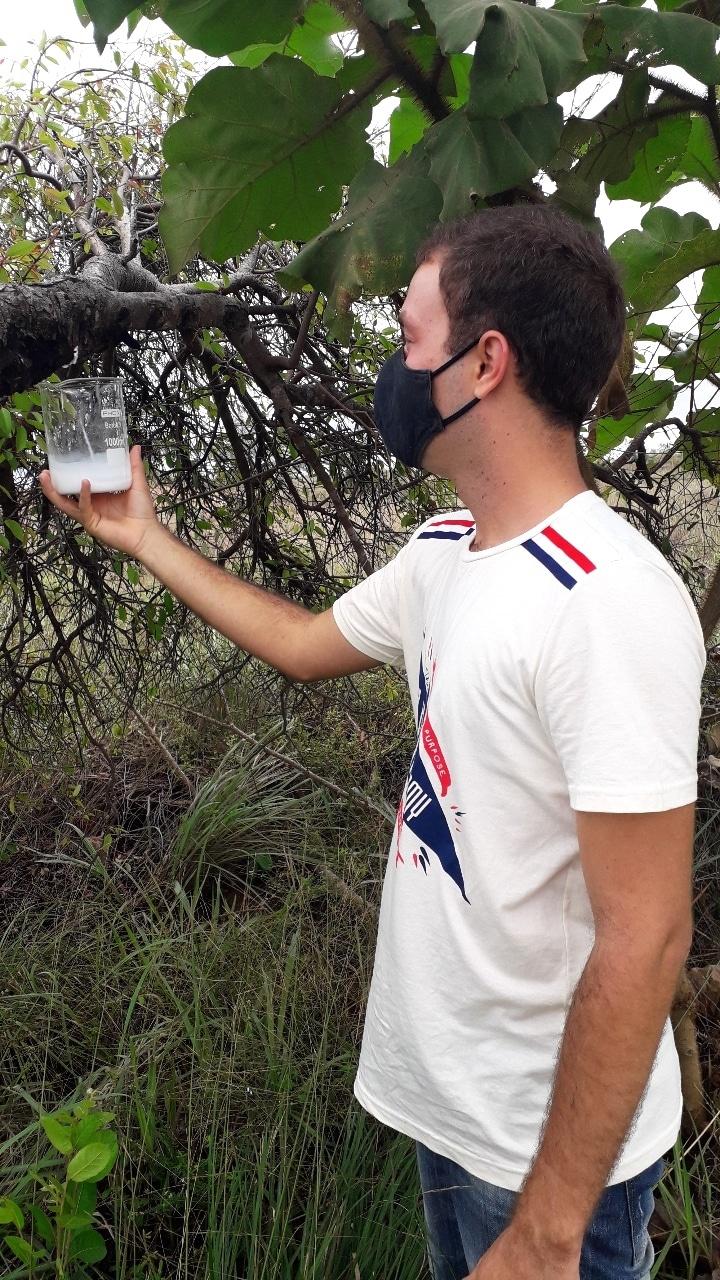 Estudantes do DF desenvolvem plástico biodegradável usando casca de laranja  - 19/02/2020 - UOL ECOA