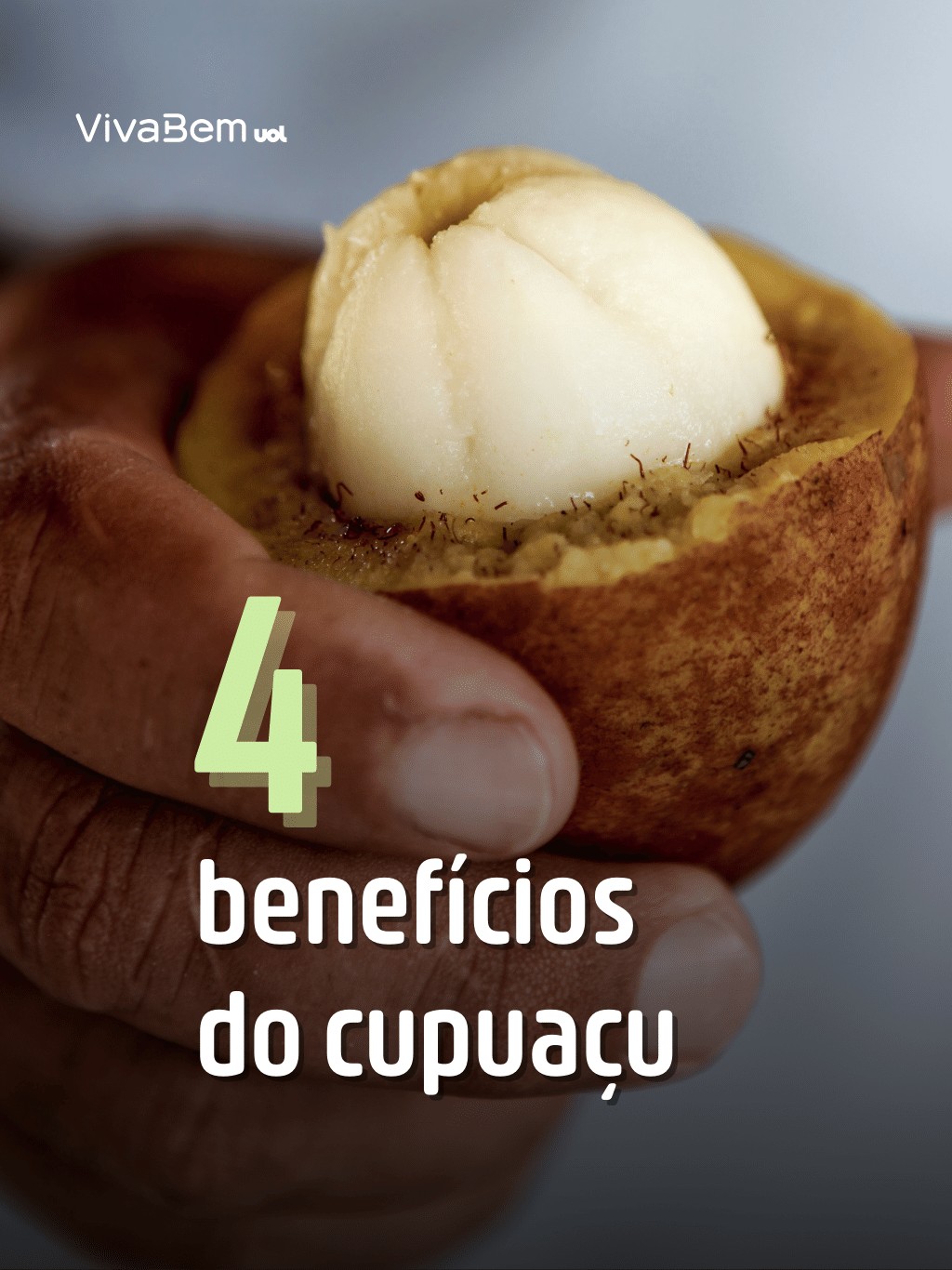 4 benefícios dos cupuaçu