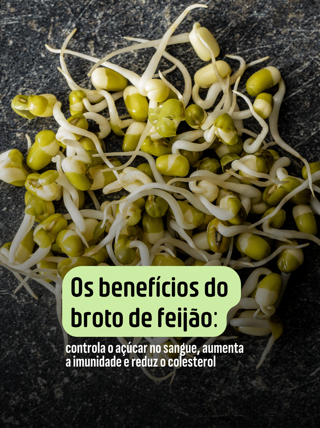 Os benefícios do broto de feijão: controla o açúcar no sangue, aumenta ...