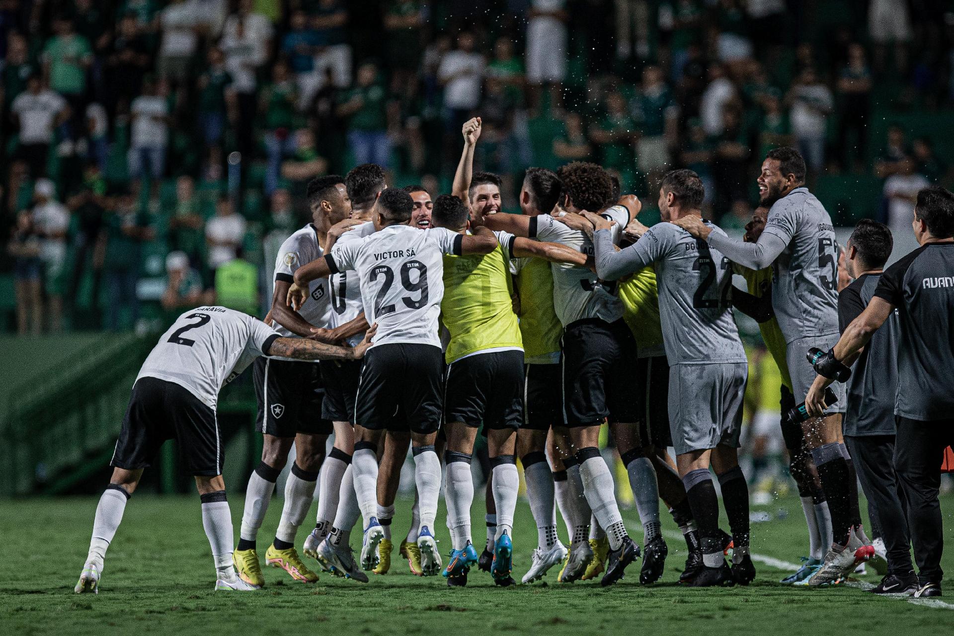 Goiás tem dois desfalques para jogo contra o Botafogo pelo Campeonato  Brasileiro - Fogo na Rede