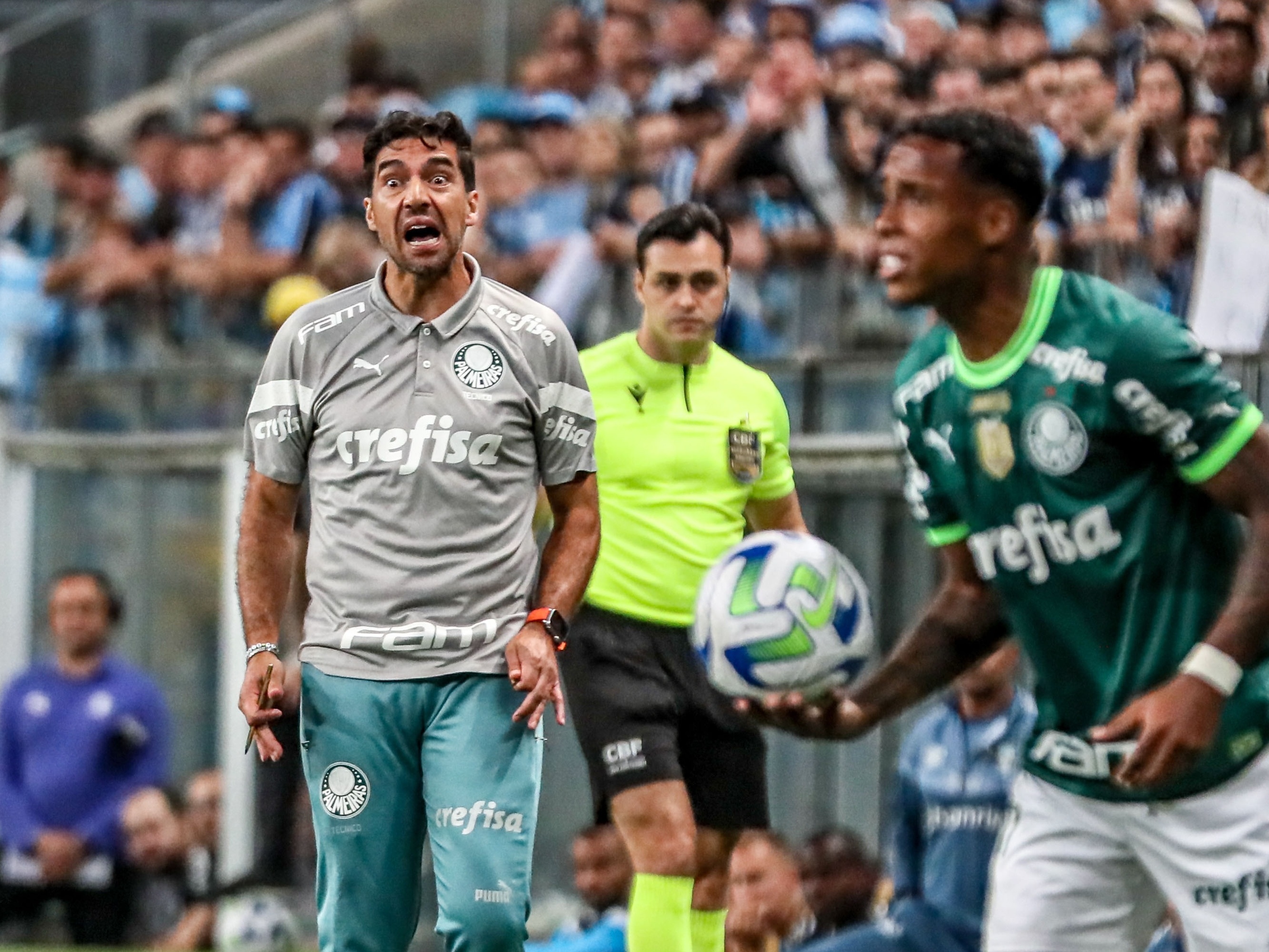 Grêmio bate Palmeiras e agora os dois secam o Botafogo contra o Corinthians