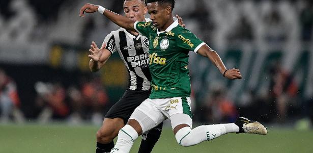 Palmeiras ou Botafogo Quem tem sequência mais difícil no Brasileirão