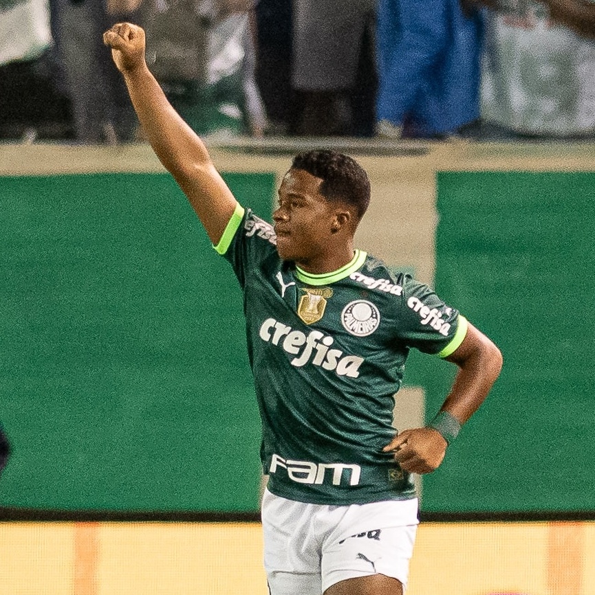 Torcedor do Palmeiras paga R$ 20 mil para assistir à final do