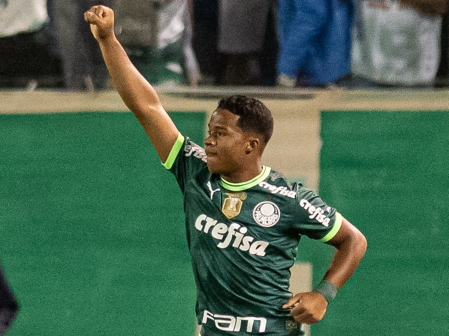 gol #palmeiras #endrick #brasileirao #campeao #premiere