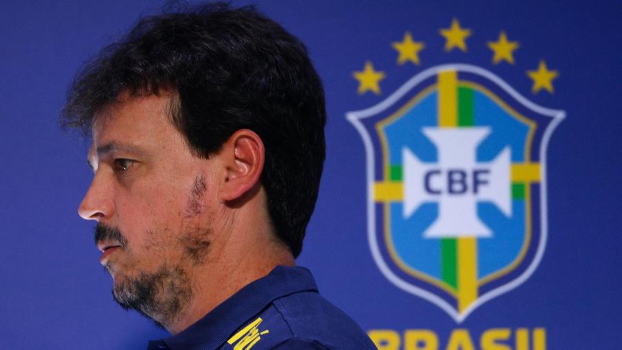 Fernando Diniz convoca seleção para jogos das Eliminatórias