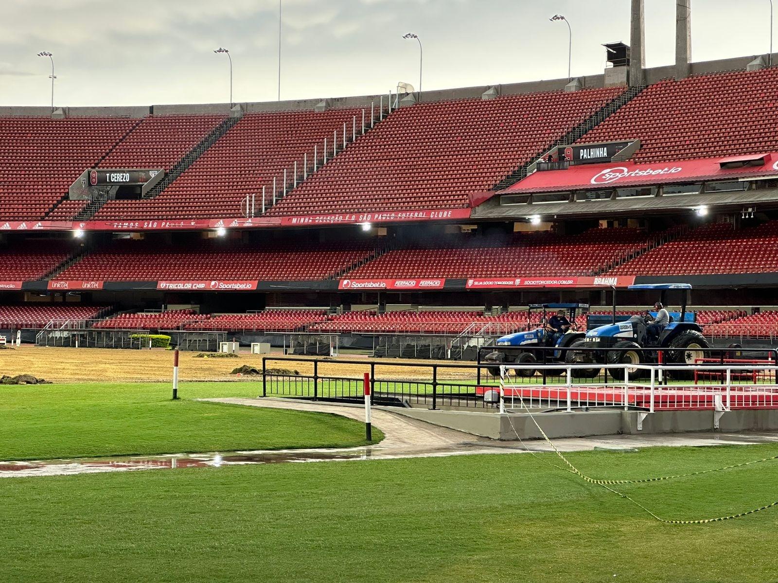 Novo gramado do Morumbi sobrevive à maratona de São Paulo e Palmeiras