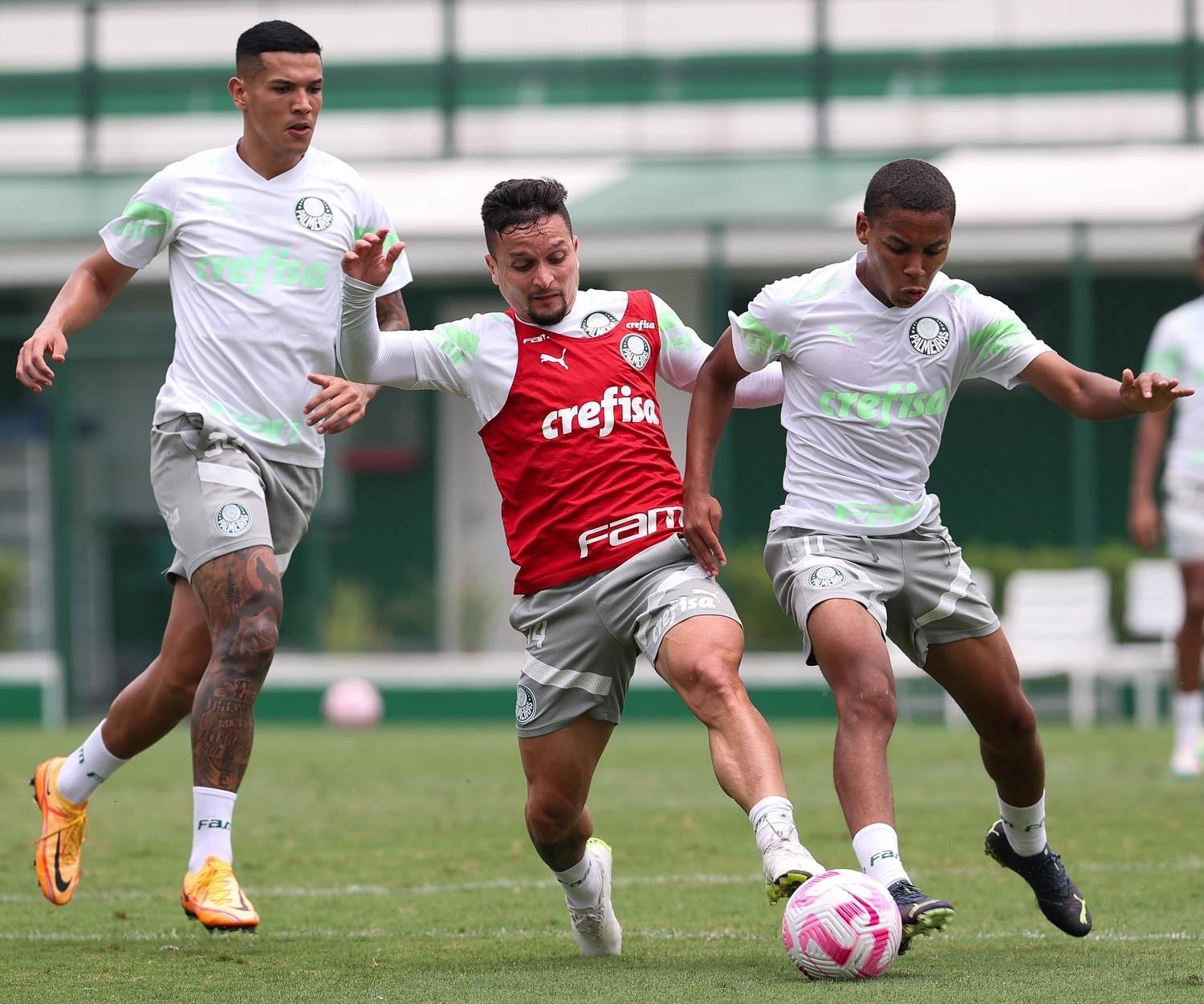 No Allianz Parque, Verdão encara São Paulo no Choque-Rei pelo Brasileiro  Sub-20 – Palmeiras