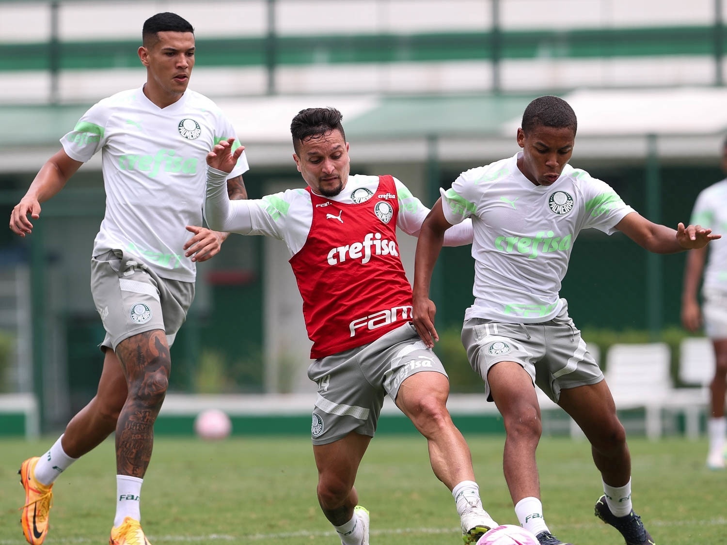 Palmeiras se reapresenta com treino técnico após classificação à