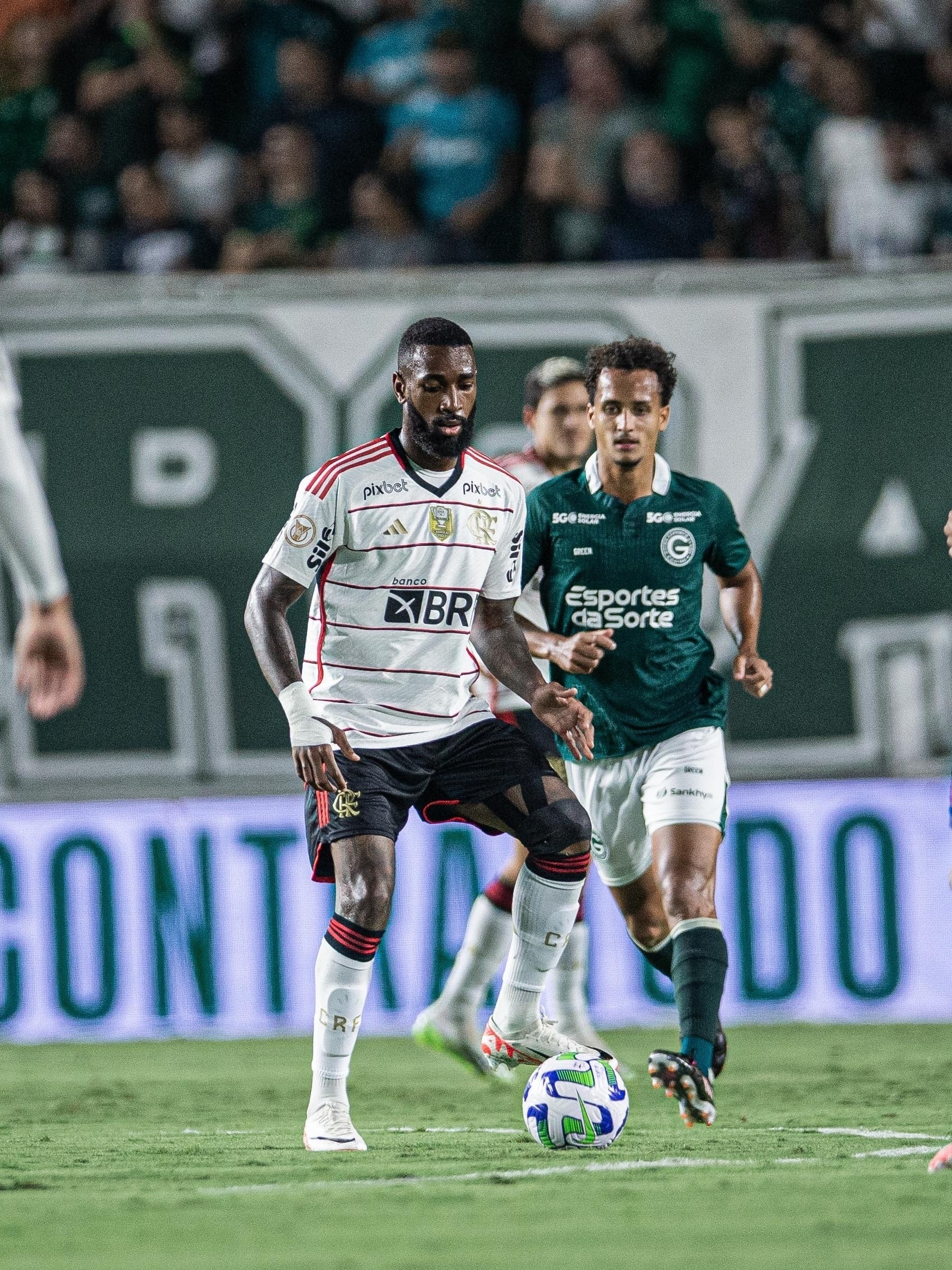 Flamengo x Goiás: onde assistir ao Brasileirão neste sábado - Placar - O  futebol sem barreiras para você