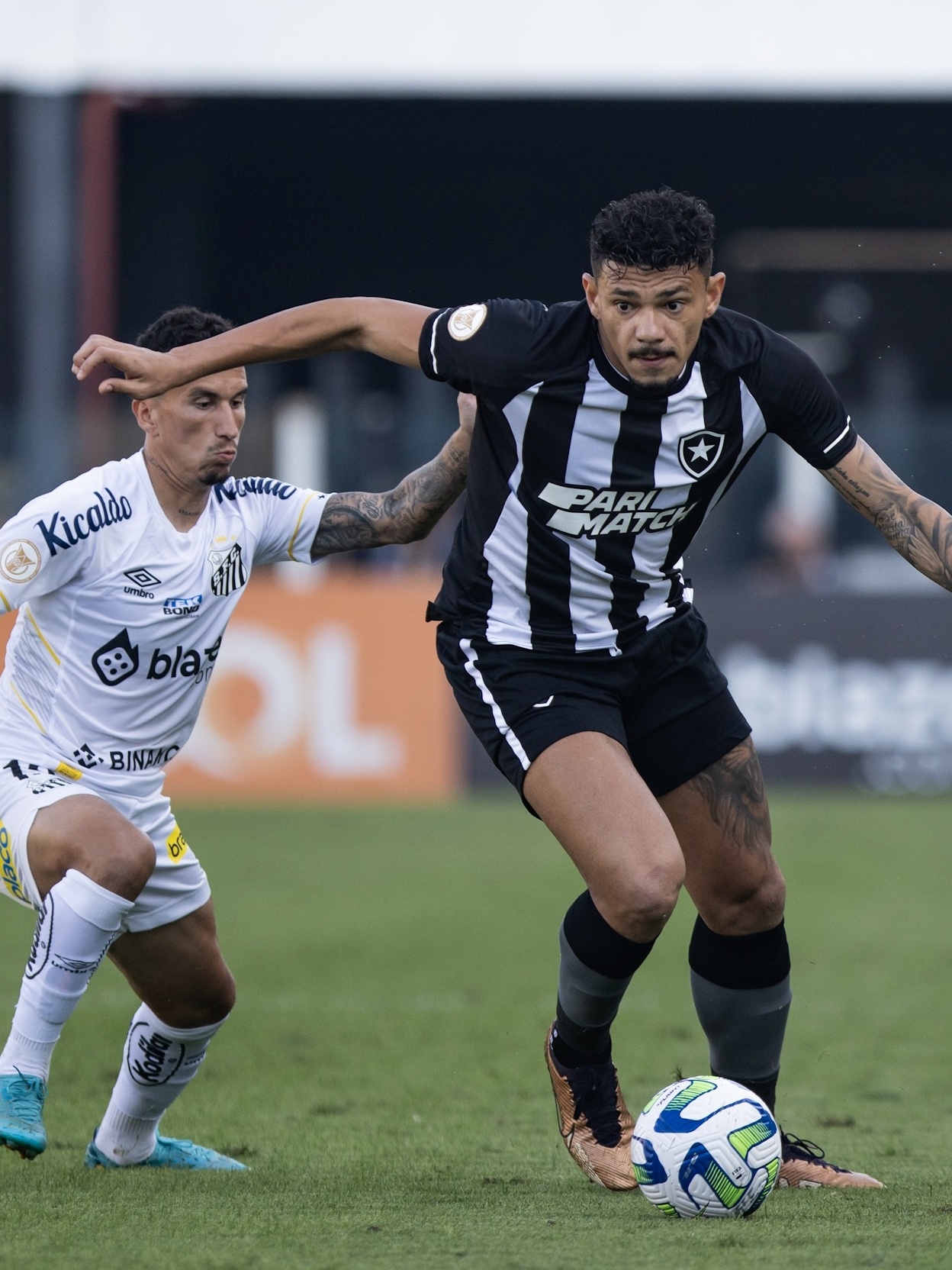 Botafogo empata com o Santos e sai do jogo na Vila tem gosto de vitória