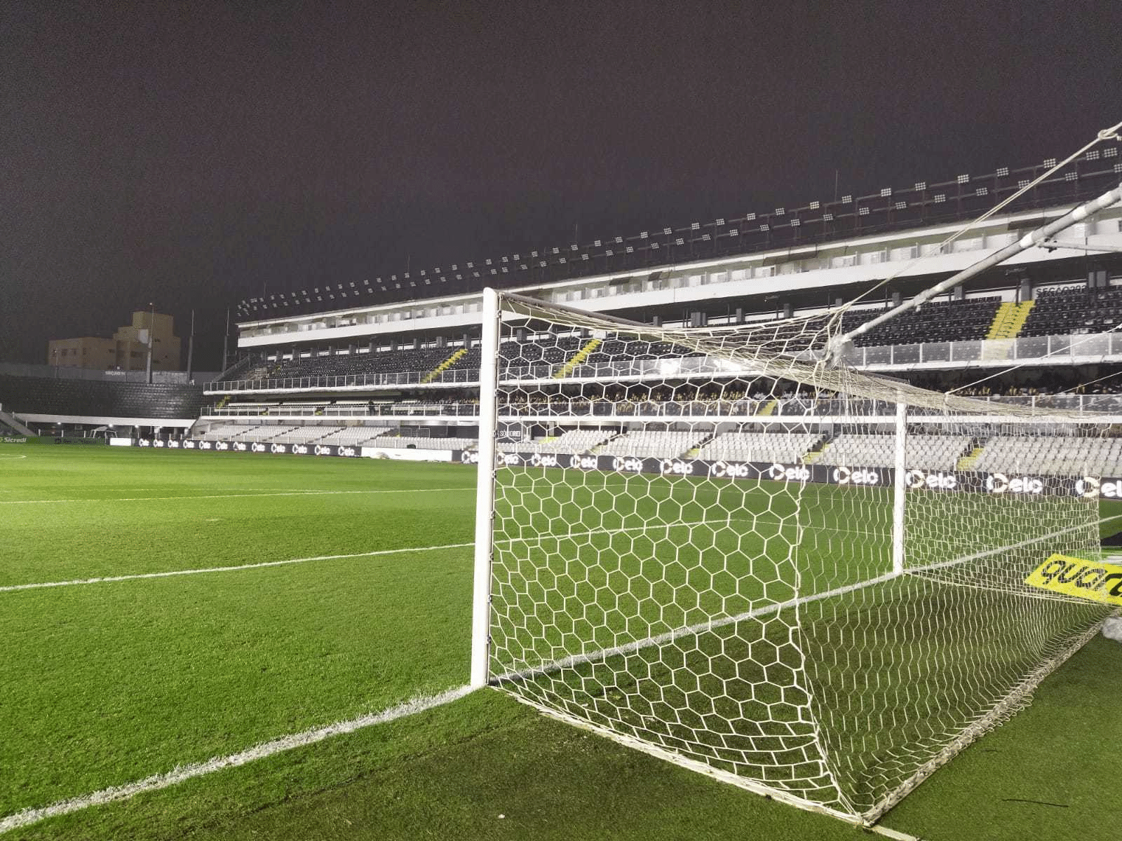 Santos x Atlético-MG: gato preto invade gramado da Vila Belmiro durante jogo;  veja vídeo, santos