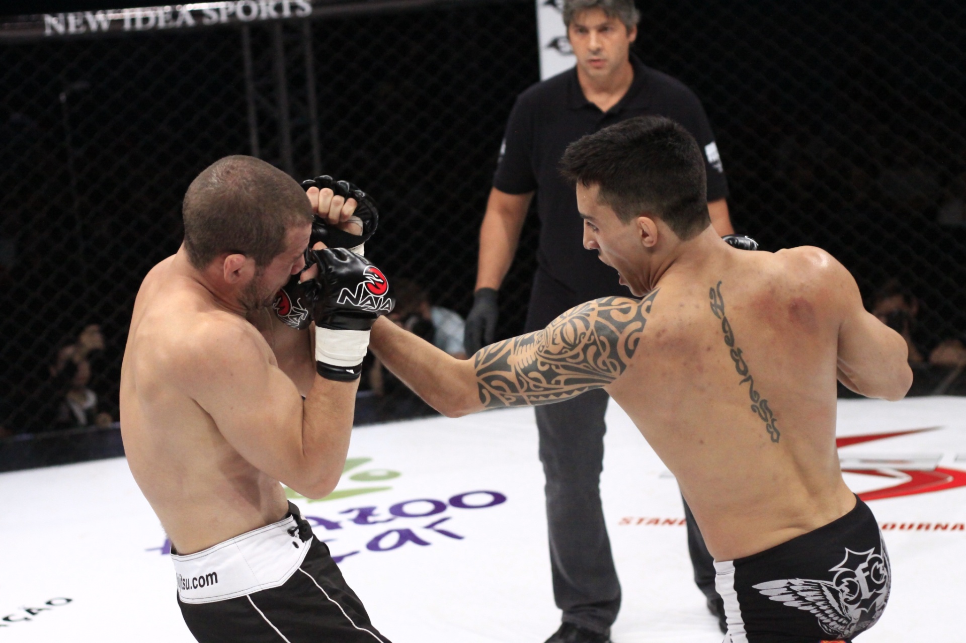 Fotos Ring Girl capa da Playboy agita o SFT 21/09/2013 UOL Esporte