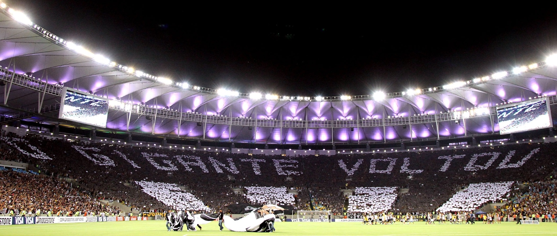 Botafogo Faz Mosaico Com N. Santos E 'levanta' Libertadores: "O Gigante ...