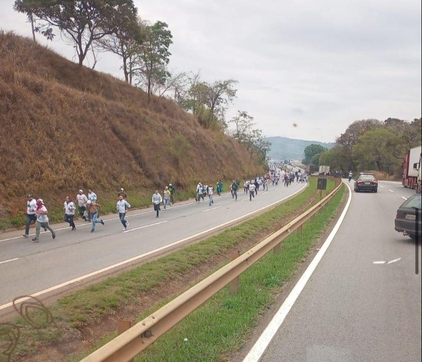 Ministério Público suspende organizada do Cruzeiro após briga com torcida do Palmeiras