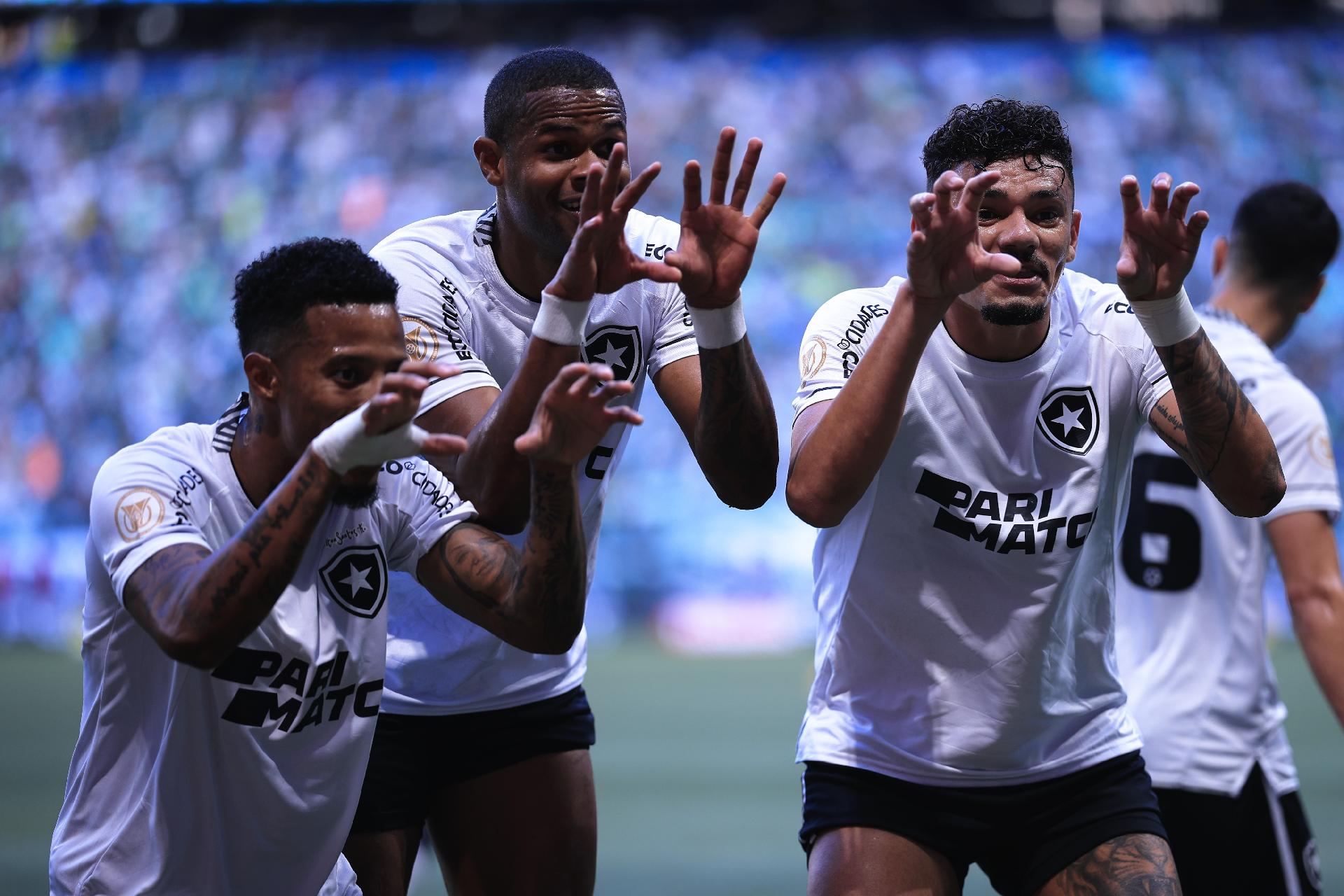 O Palmeiras sempre quis o campeonato que o Botafogo jogou fora - NSC Total