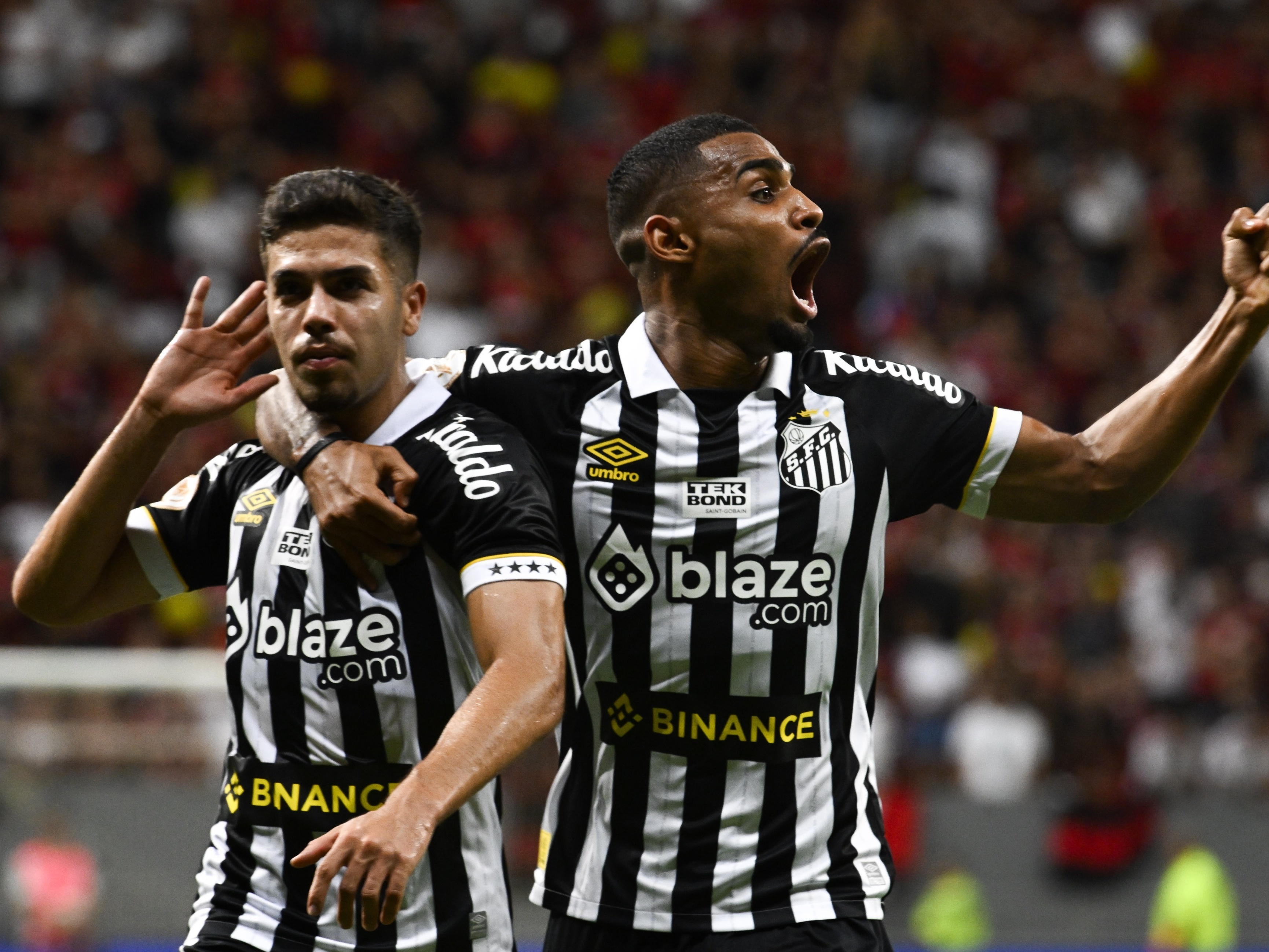 FLAMENGO X SANTOS TRANSMISSÃO AO VIVO DIRETO DO MANÉ GARRINCHA -  BRASILEIRÃO 2023 - RODADA 31 